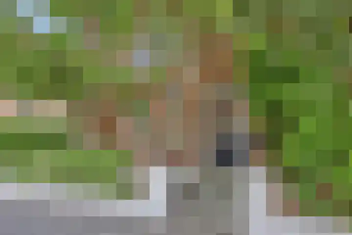 Grunerielaan 44 Oegstgeest thumbnail 8