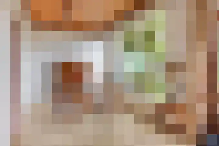 Grunerielaan 9 Oegstgeest thumbnail 12