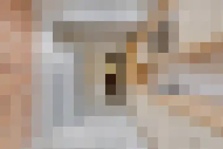 Grunerielaan 9 Oegstgeest thumbnail 13