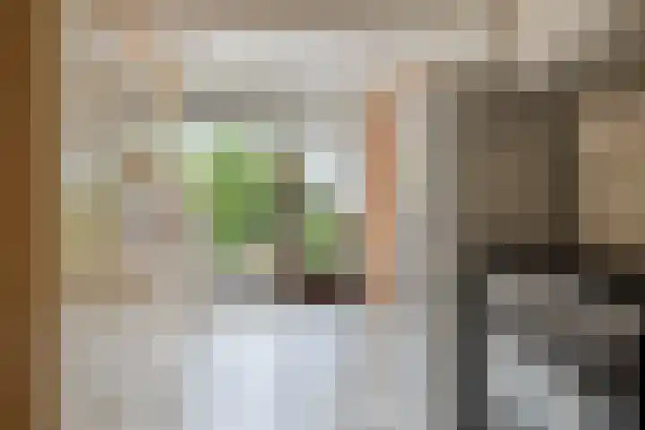 Grunerielaan 9 Oegstgeest thumbnail 15