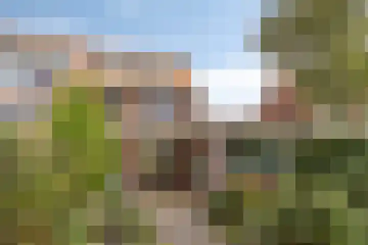 Grunerielaan 9 Oegstgeest thumbnail 17
