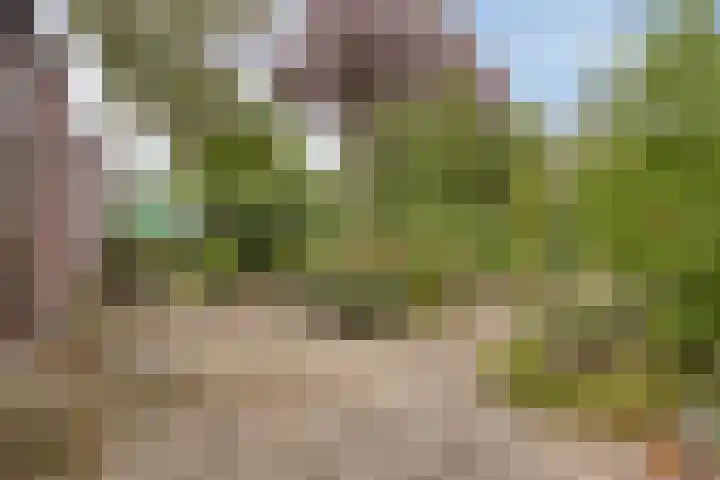 Grunerielaan 9 Oegstgeest thumbnail 18