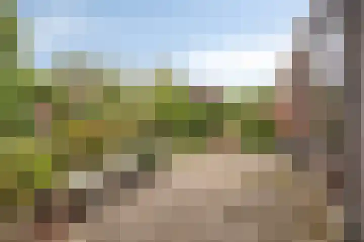Grunerielaan 9 Oegstgeest thumbnail 19
