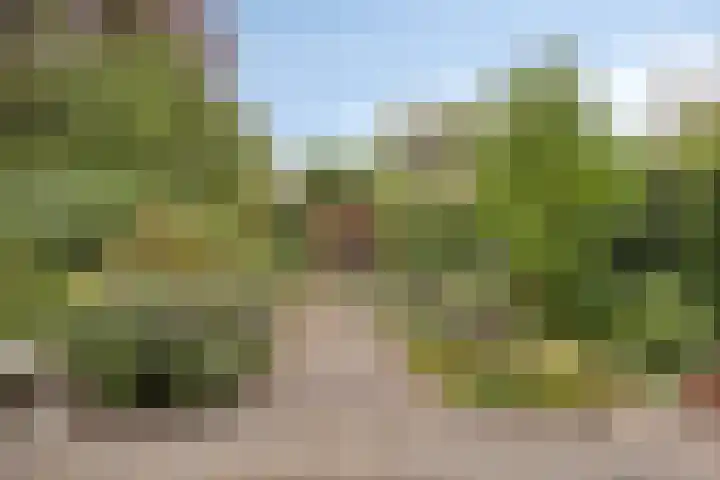 Grunerielaan 9 Oegstgeest thumbnail 20