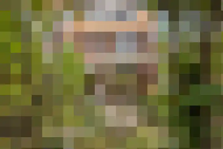 Grunerielaan 9 Oegstgeest thumbnail 21
