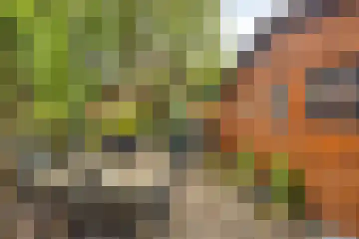 Grunerielaan 9 Oegstgeest thumbnail 23