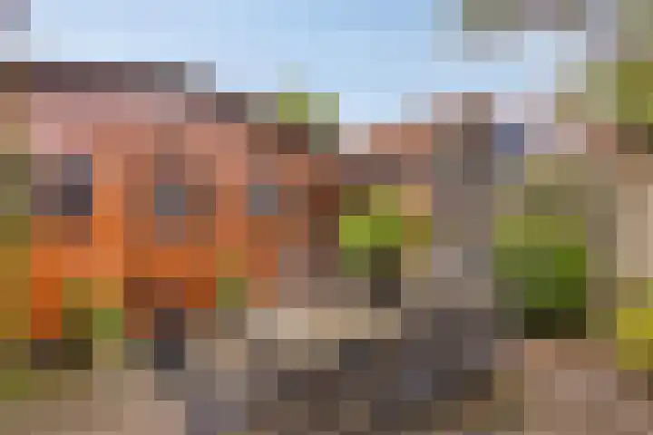 Grunerielaan 9 Oegstgeest thumbnail 24