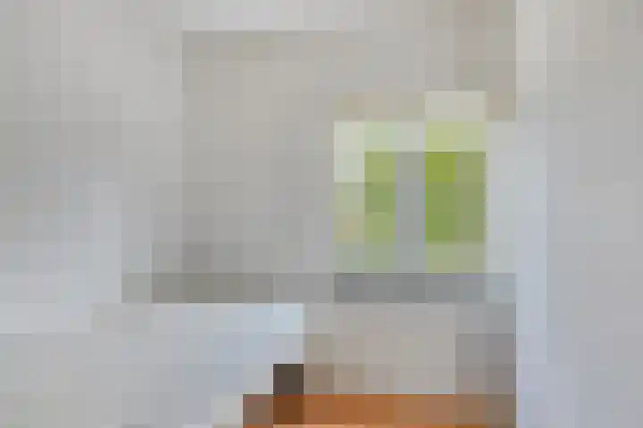 Grunerielaan 9 Oegstgeest thumbnail 33