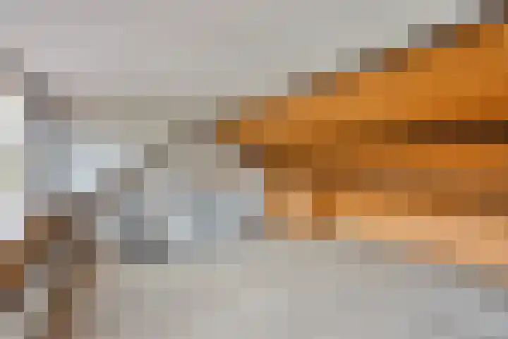 Grunerielaan 9 Oegstgeest thumbnail 34