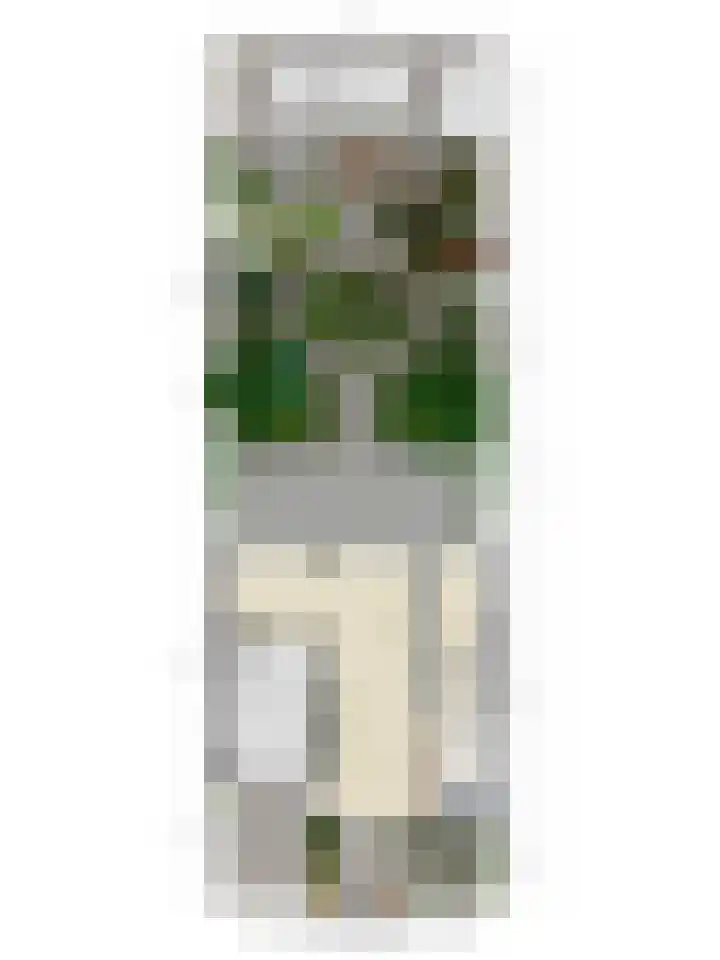Grunerielaan 9 Oegstgeest thumbnail 43