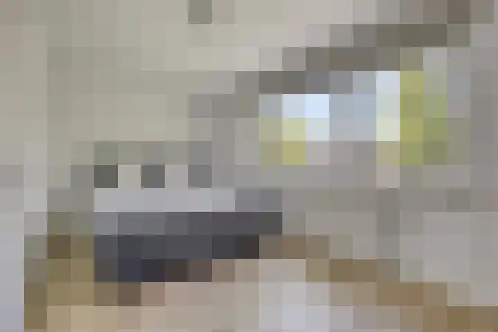 Grünewaldstraat 23 Almere thumbnail 26