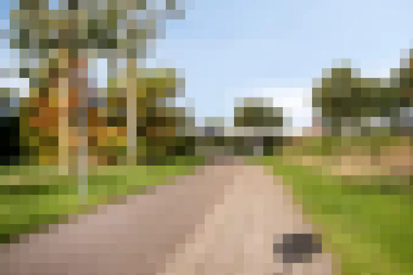 Grünewaldstraat 52 Almere thumbnail 32