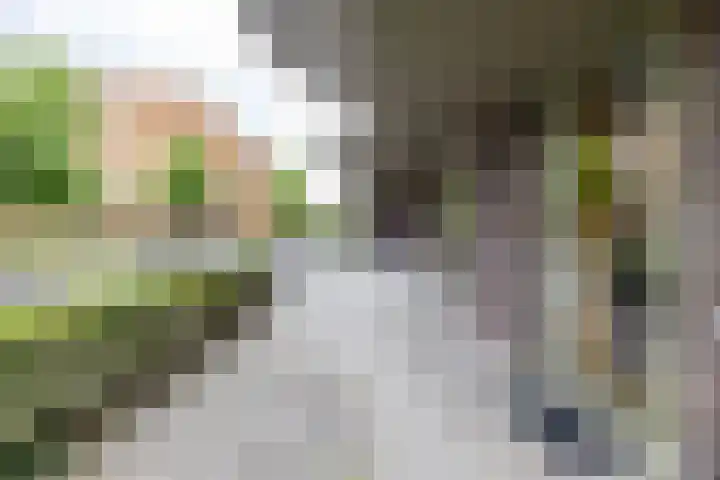 Grunostraat 11 Groningen thumbnail 23