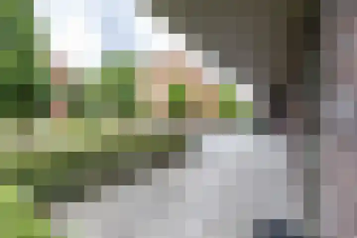 Grunostraat 11 Groningen thumbnail 24