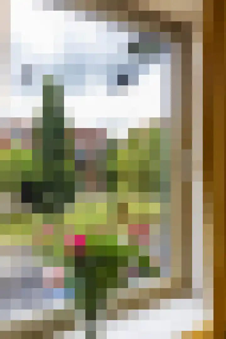 Grunostraat 11 Groningen thumbnail 30
