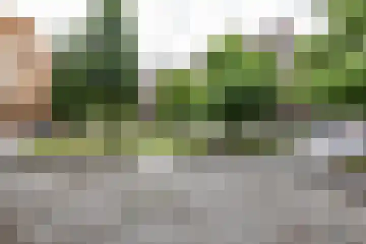 Grunostraat 11 Groningen thumbnail 44