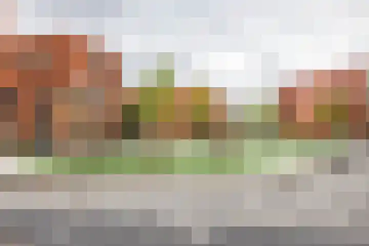 Grunostraat 11 Groningen thumbnail 46