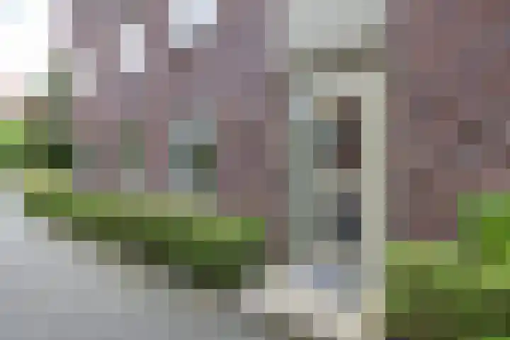 Grunostraat 11 Groningen thumbnail 6
