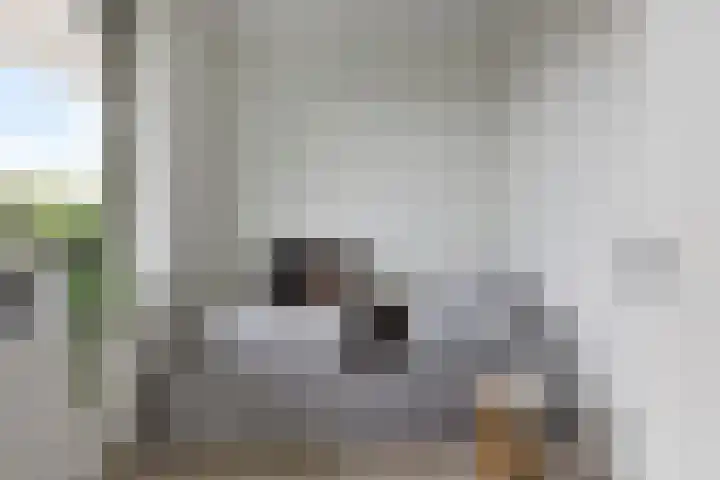 Grunostraat 39 Groningen thumbnail 18