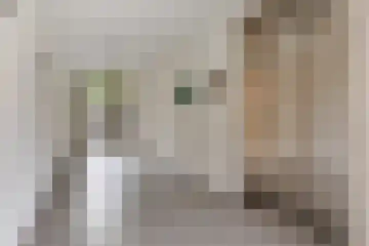 Grunostraat 39 Groningen thumbnail 23