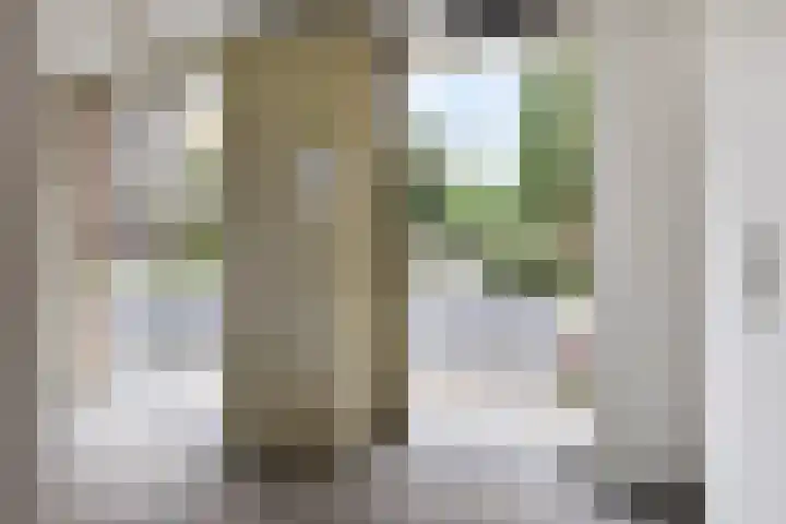 Grunostraat 39 Groningen thumbnail 24