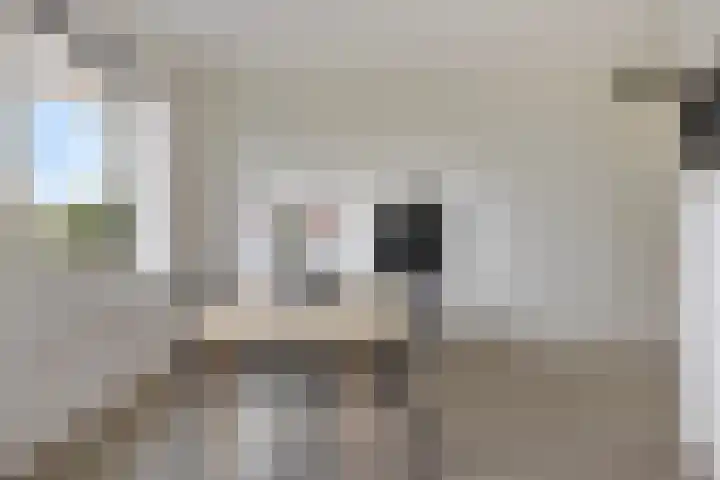 Grunostraat 39 Groningen thumbnail 8