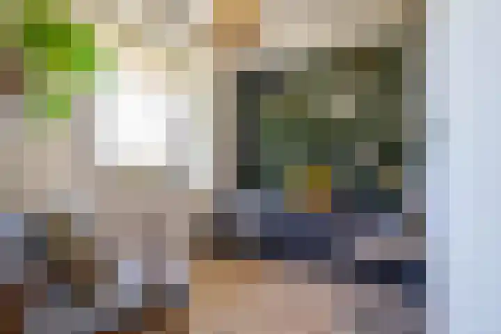 Grunostraat 61 Groningen thumbnail 12