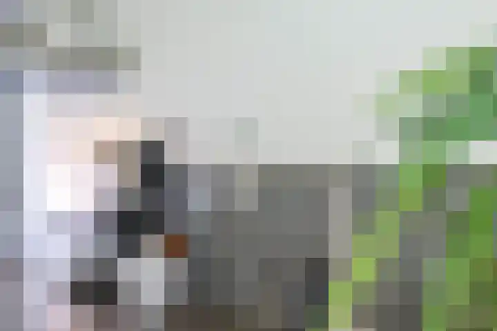 Grunostraat 61 Groningen thumbnail 33