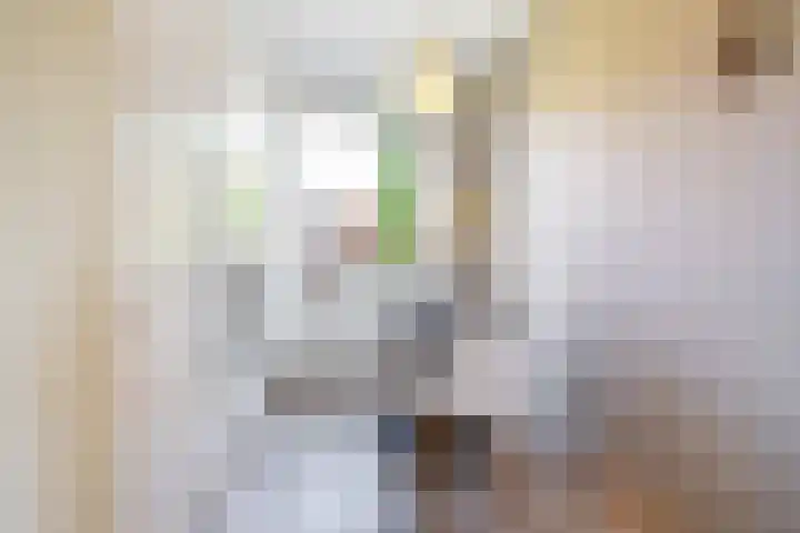Grunostraat 61 Groningen thumbnail 34