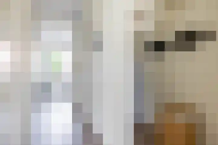 Grunostraat 61 Groningen thumbnail 39