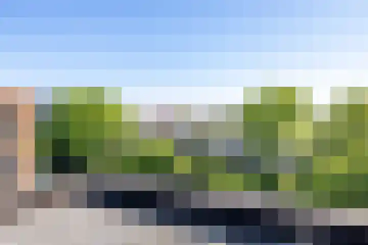 Grunostraat 61 Groningen thumbnail 42