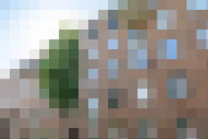 Grunostraat 61 Groningen thumbnail 45