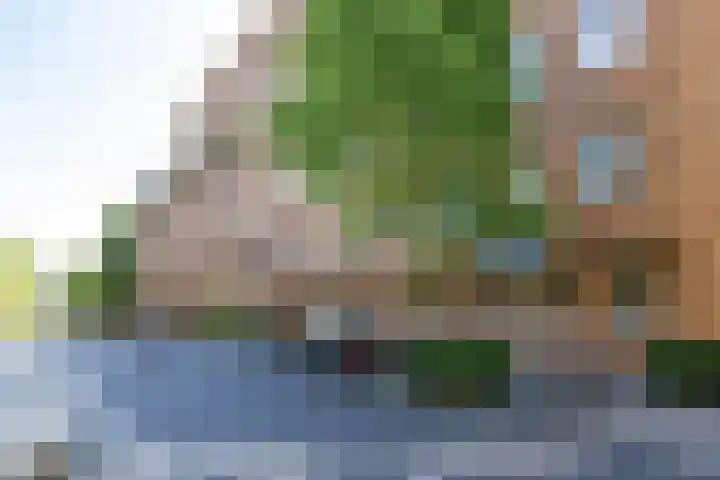 Grunostraat 61 Groningen thumbnail 5