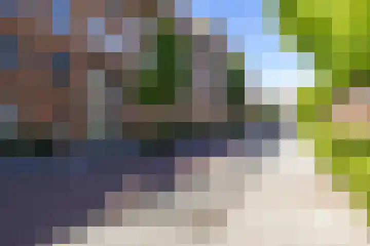 Grunostraat 61 Groningen thumbnail 6