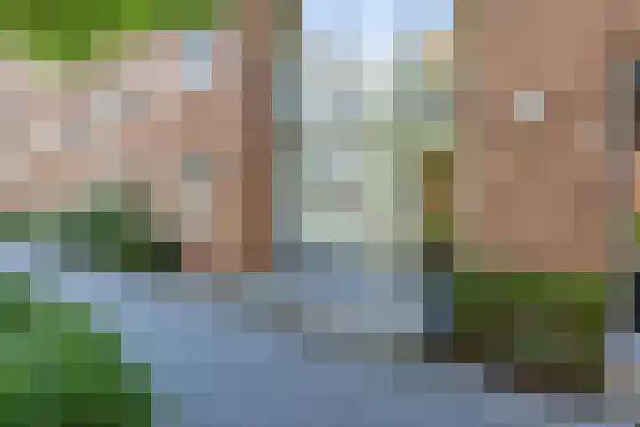 Grunostraat 61 Groningen thumbnail 7
