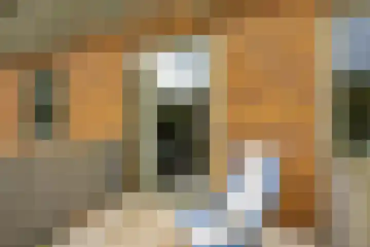 Grunostraat 71 Groningen thumbnail 20