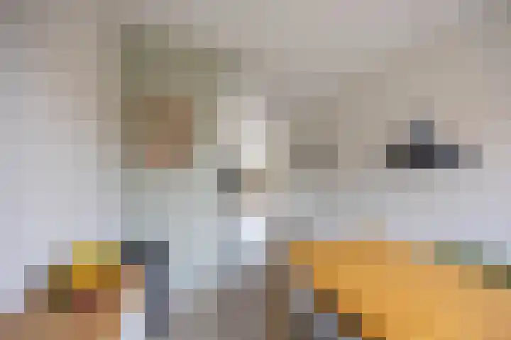 Grunostraat 71 Groningen thumbnail 26