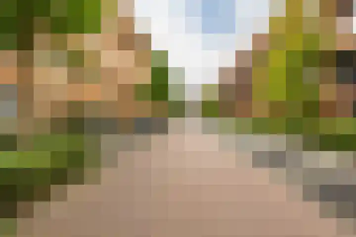Grunostraat 71 Groningen thumbnail 6