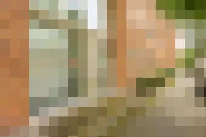 Grunostraat 71 Groningen thumbnail 8