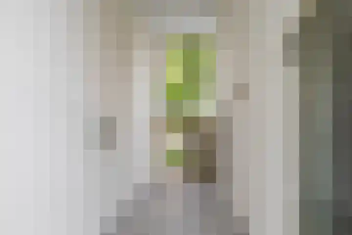 Grunostraat 71 Groningen thumbnail 9