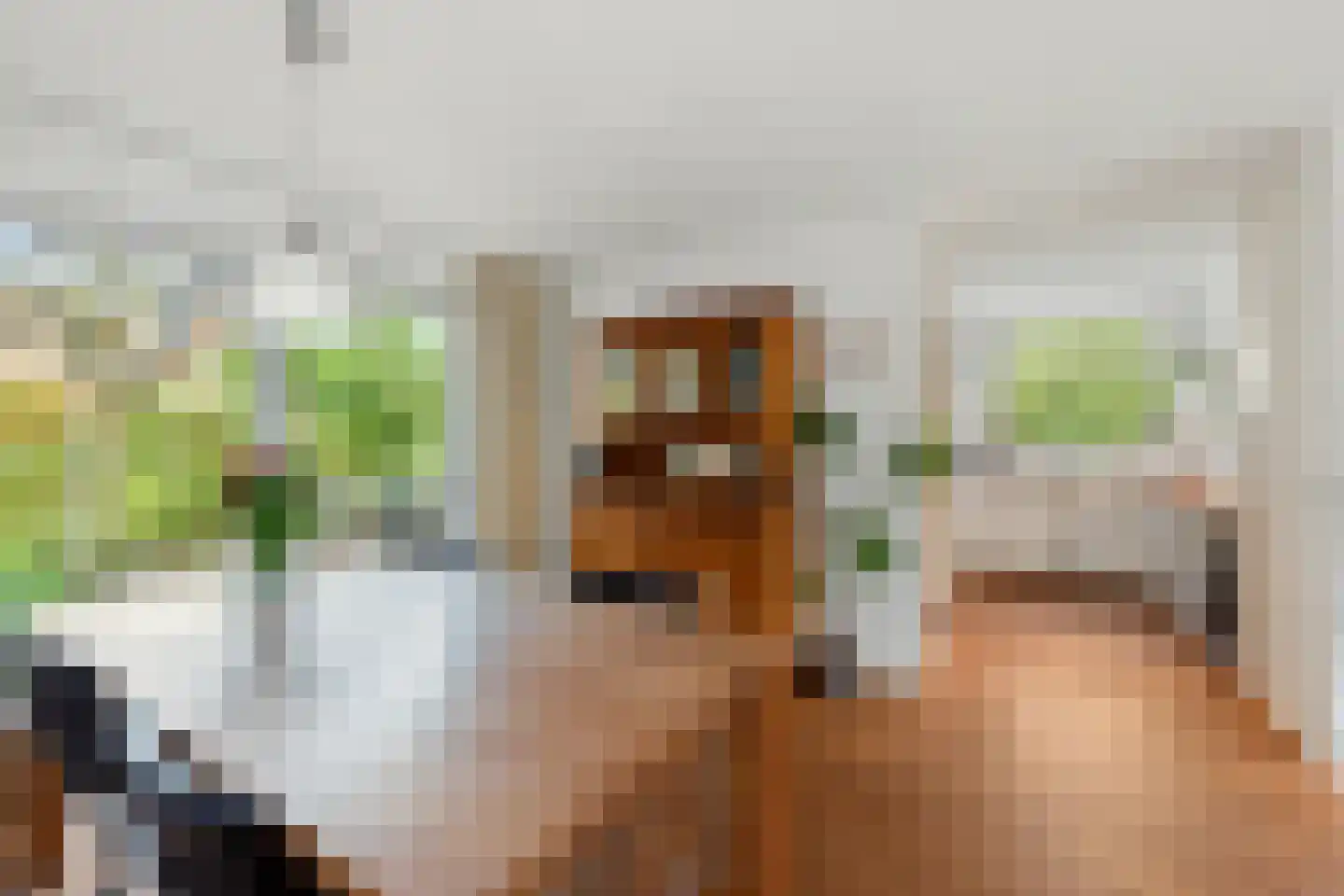 Grunsfoortseweg 1 Renkum thumbnail 11