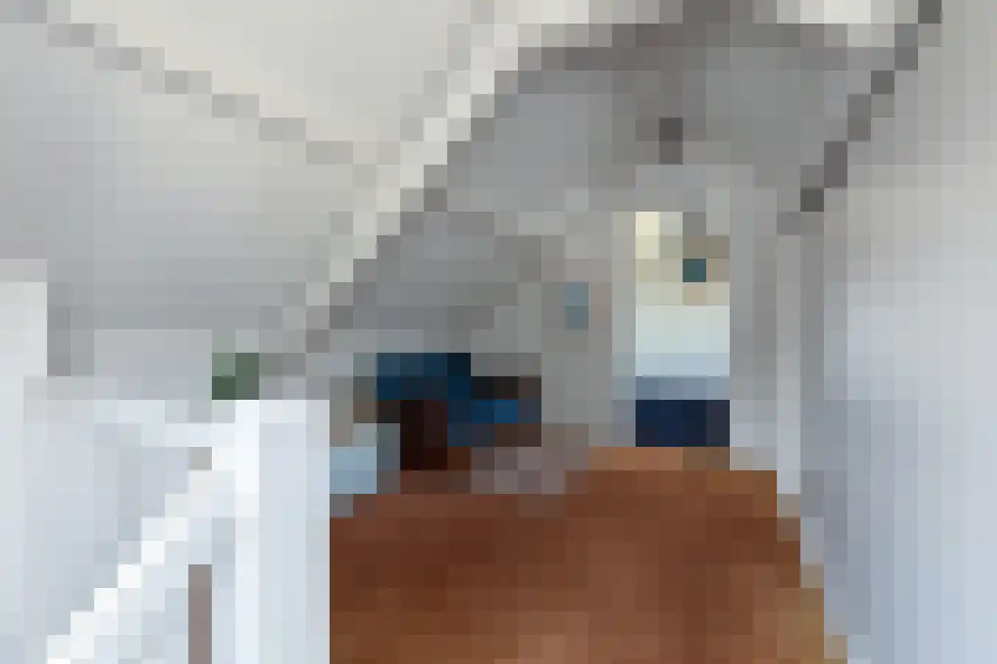 Grunsfoortseweg 1 Renkum thumbnail 28
