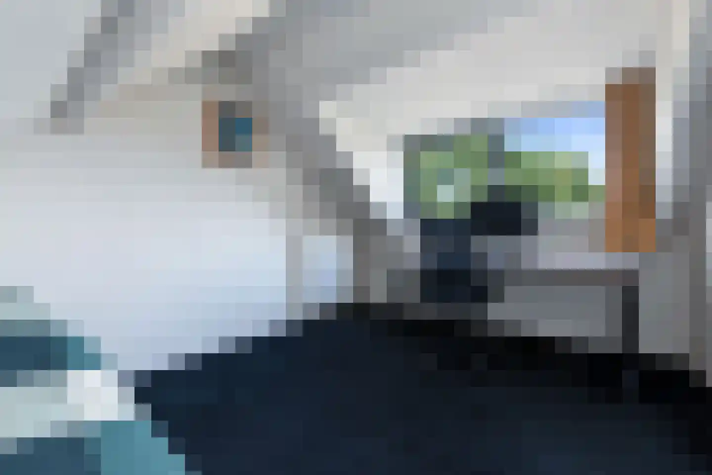 Grunsfoortseweg 1 Renkum thumbnail 31