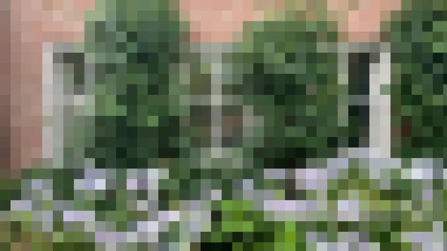 Grunsfoortseweg 1 Renkum thumbnail 36