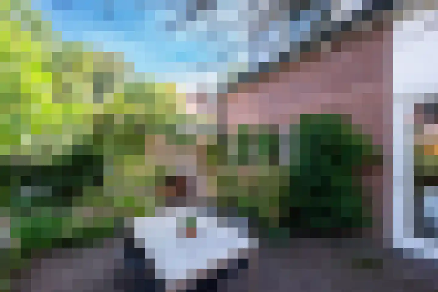 Grunsfoortseweg 1 Renkum thumbnail 37