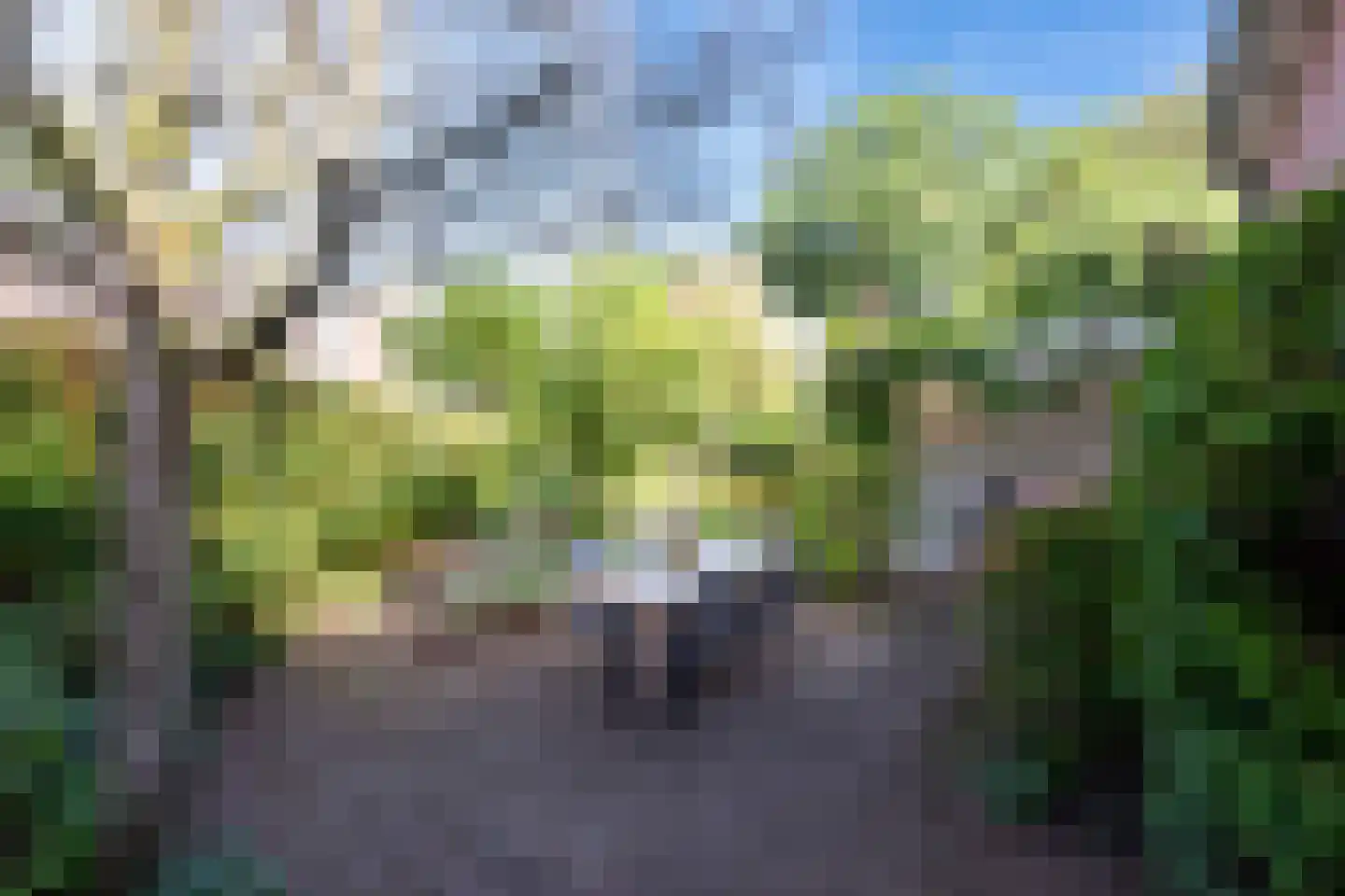 Grunsfoortseweg 1 Renkum thumbnail 38
