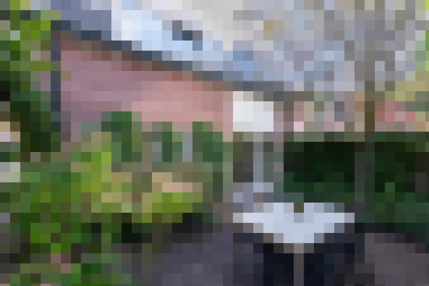 Grunsfoortseweg 1 Renkum thumbnail 39