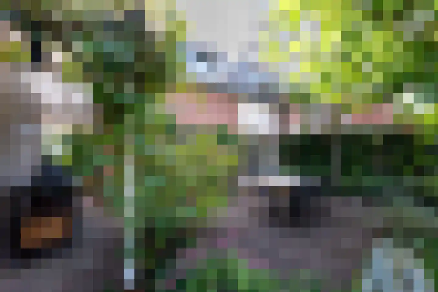 Grunsfoortseweg 1 Renkum thumbnail 40
