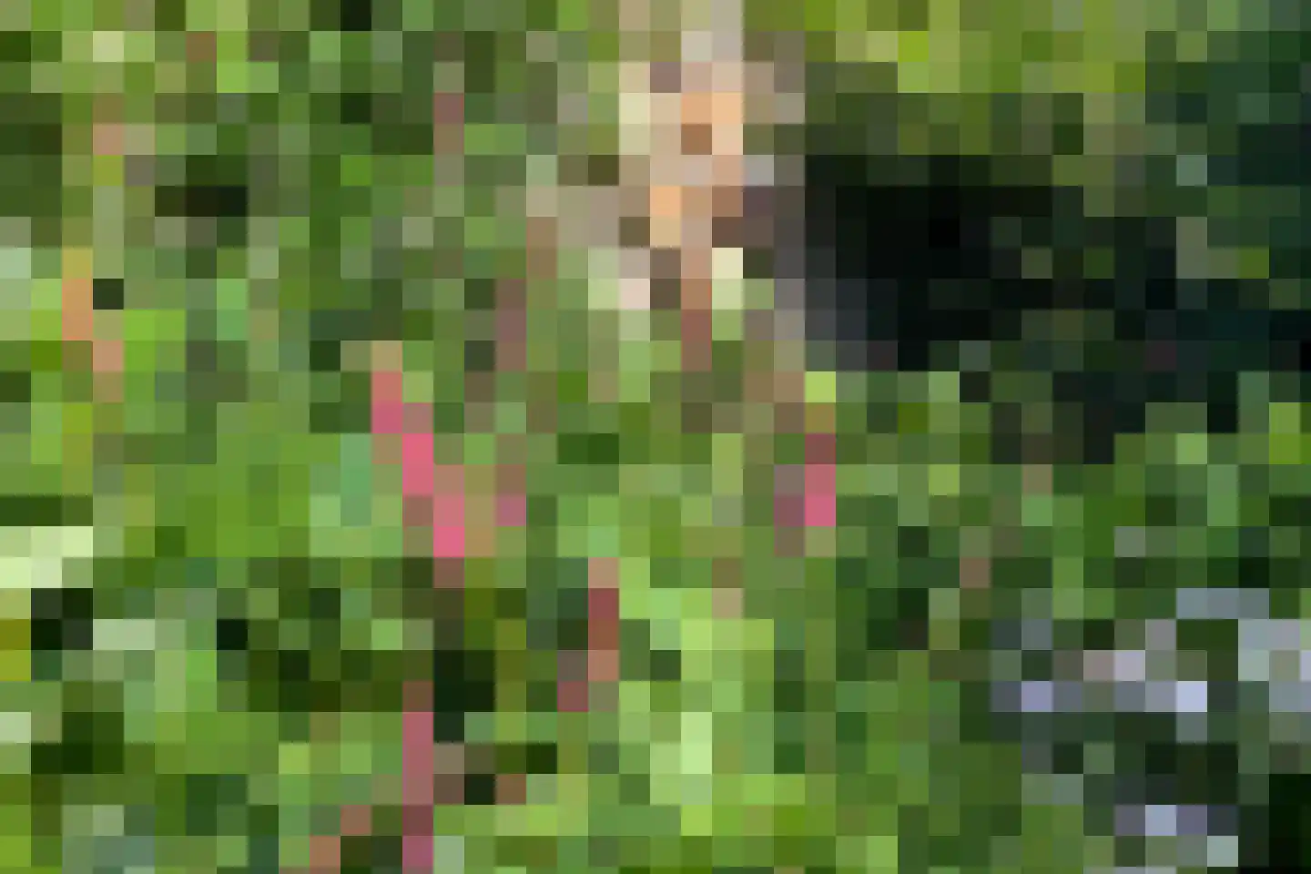 Grunsfoortseweg 1 Renkum thumbnail 43