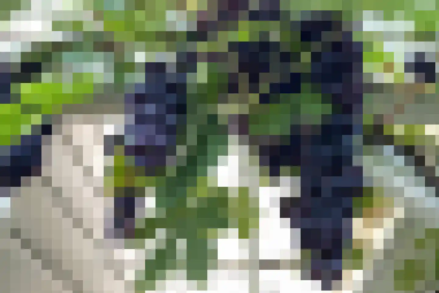 Grunsfoortseweg 1 Renkum thumbnail 46
